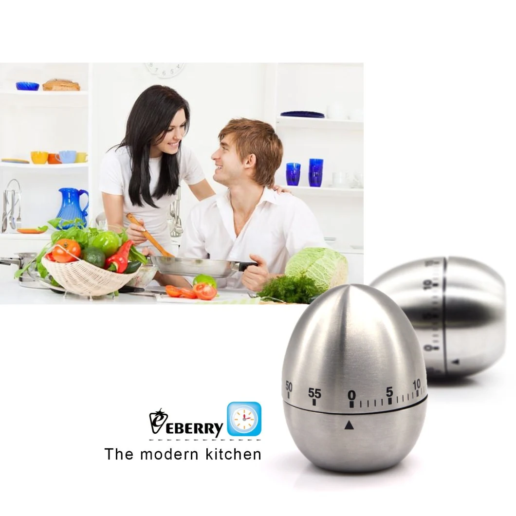 Stainless Steel Egg Shape Kitchen Timer Mechanical Drive Count-Down Kitchen Timer 60-Minute Practical Kitchen Timer-Silver Cooking Esg11404