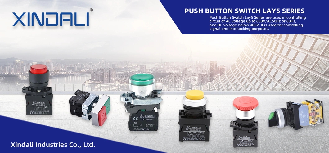 Lay5-EL3341 Plastic Latching Push Button Switches with Symbol of Marking